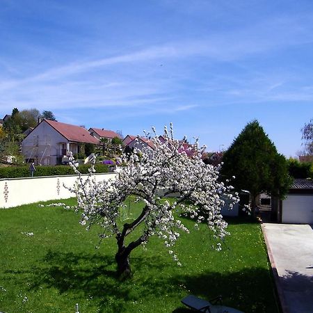 Grand Appartement Dans Villa Avec Parking Quartier Residentiel Joigny Oda fotoğraf